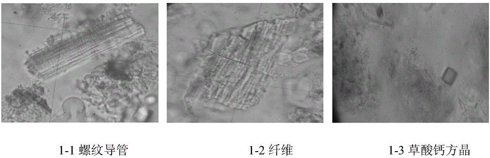 一種復方矮地茶片的檢測方法與流程