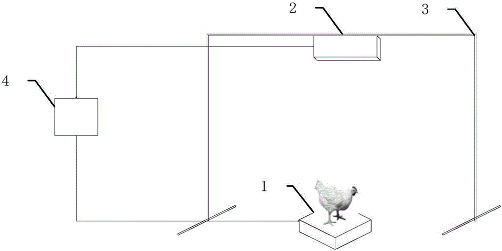 基于深度图像的肉鸡体重估测装置的制作方法