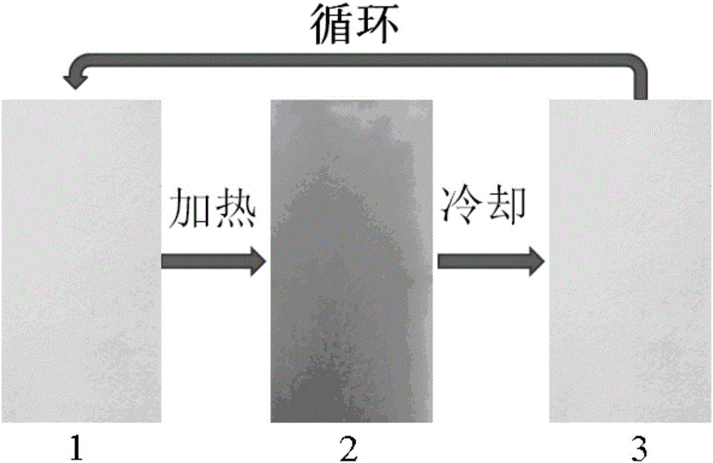 一種正向開關(guān)溫致可逆變色復(fù)合薄膜的制備方法與流程