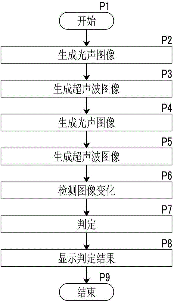 光聲圖像生成方法及裝置與流程