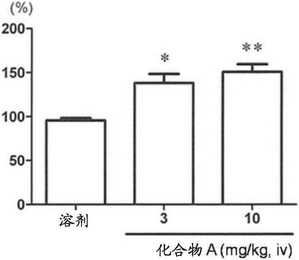 预防和/或治疗尿失禁的新的药物组合物的利记博彩app与工艺