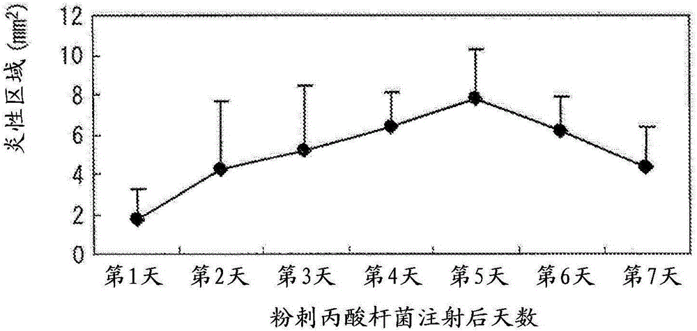 用于給予抗原肽的組合物、方法和治療與流程