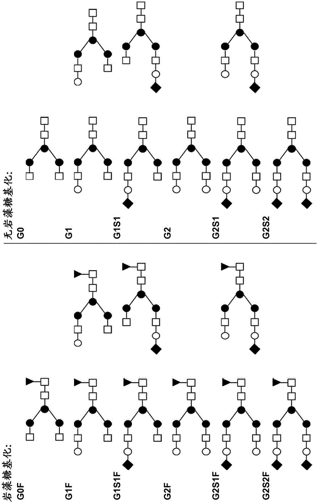 半乳糖改造的免疫球蛋白1抗體的制作方法與工藝