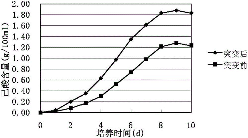 一種己酸發(fā)酵菌種及己酸提取方法與流程