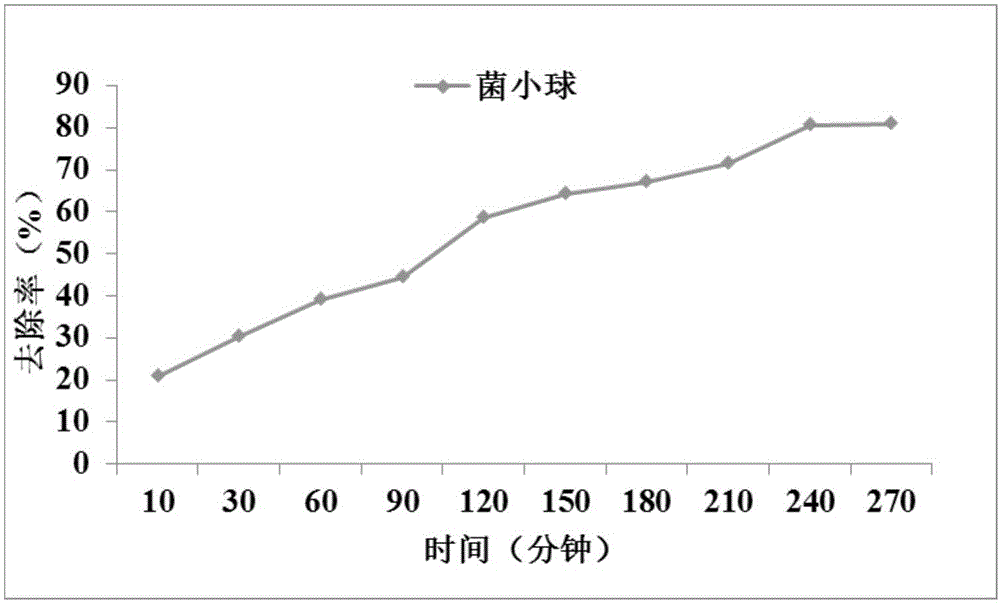 一株泡囊短波單胞菌及其在制備固定化微生物吸附劑中的應(yīng)用的制作方法與工藝