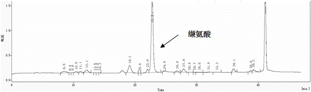 一種谷氨酸棒狀桿菌與應(yīng)用的制作方法與工藝