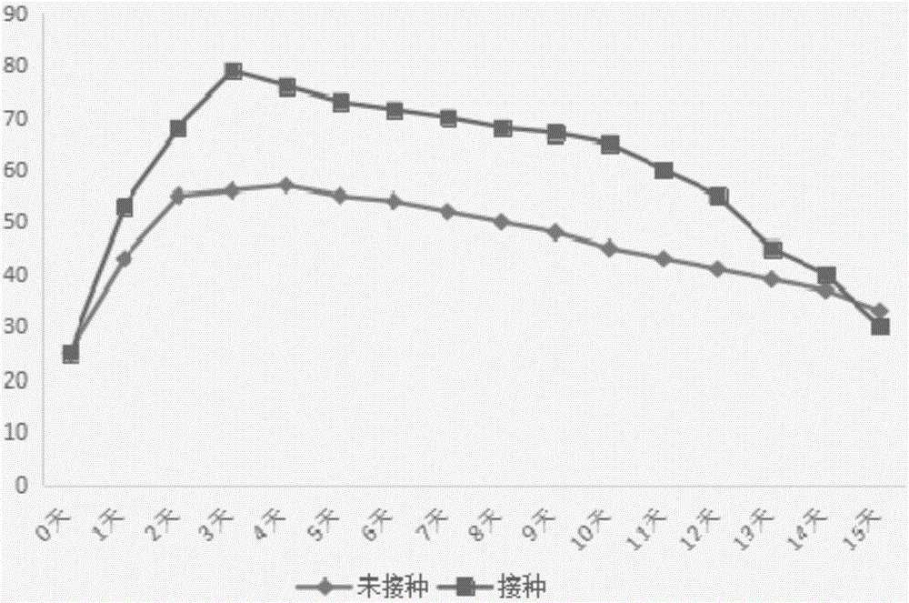 一種用于污泥高溫堆肥的菌株及其應(yīng)用的制作方法與工藝