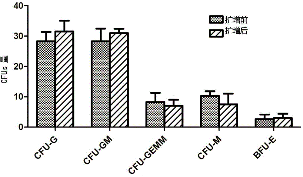 離體擴(kuò)培非人靈長(zhǎng)類動(dòng)物造血干細(xì)胞的方法與流程