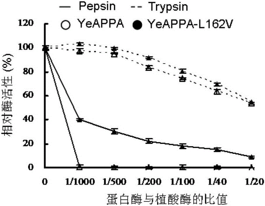 植酸酶突变体YeAPPA‑L162V及其编码基因和应用的制作方法与工艺