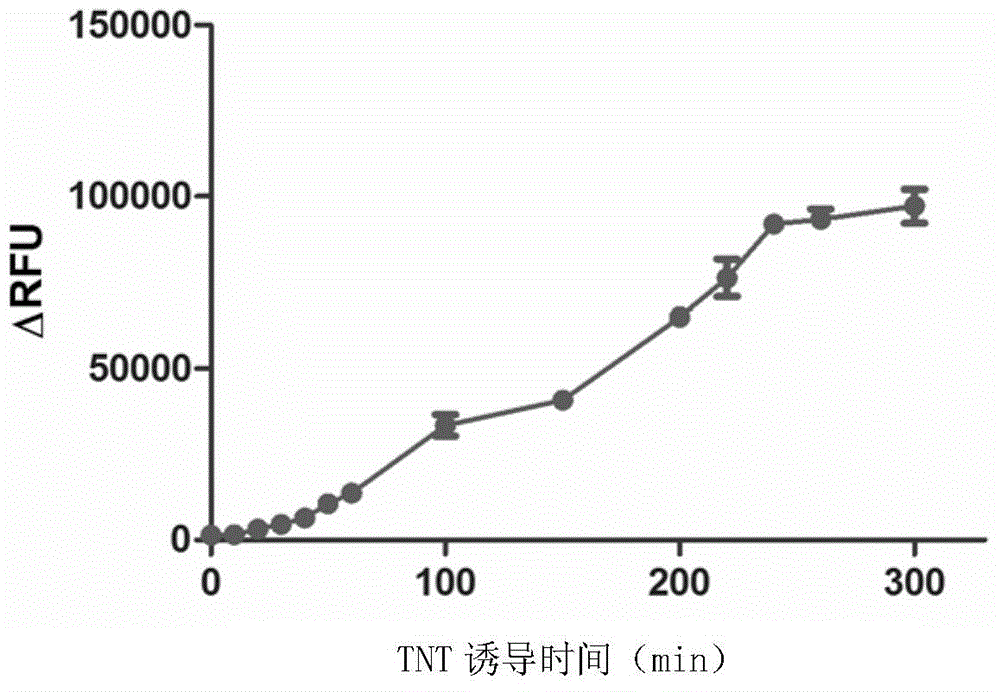 启动子recEA4及其应用的制作方法与工艺