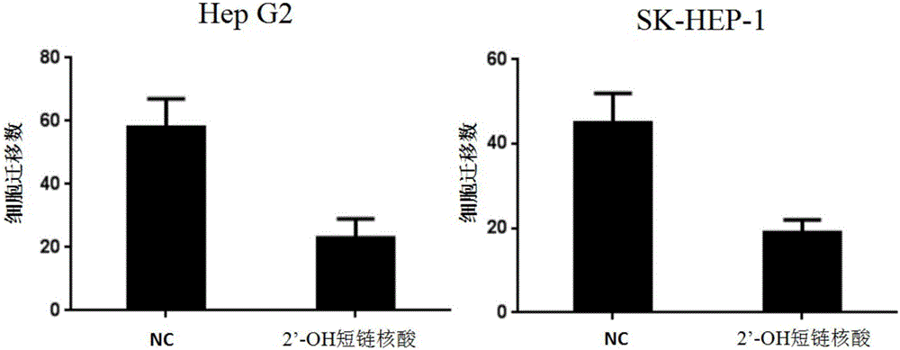 一種抑制腫瘤生長和轉(zhuǎn)移的miRNA序列及其應(yīng)用的制作方法與工藝