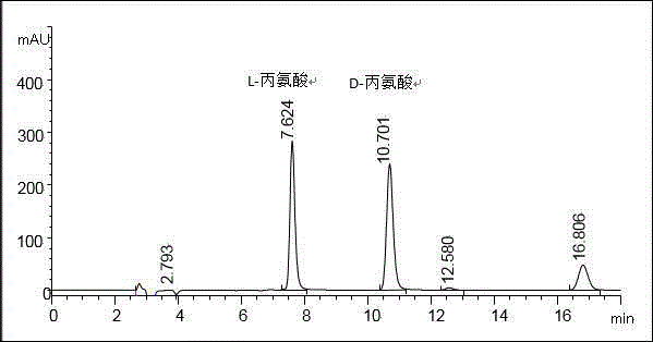 一種利用共固定化酶合成D-丙氨酸的方法與流程