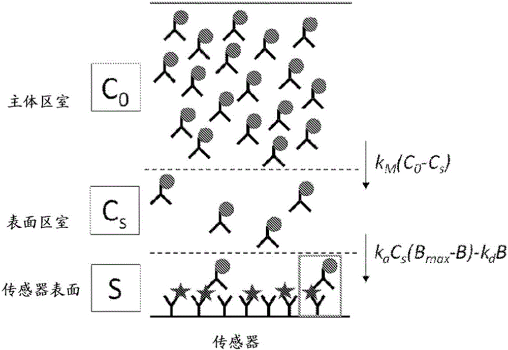 基于磁性傳感器的定量結(jié)合動(dòng)力學(xué)分析的制作方法與工藝