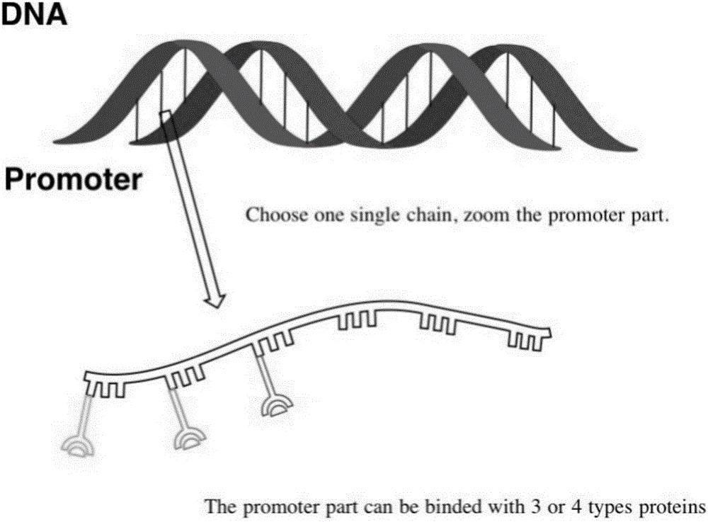 一种脑卒中预警的基因电路模型的制作方法与工艺