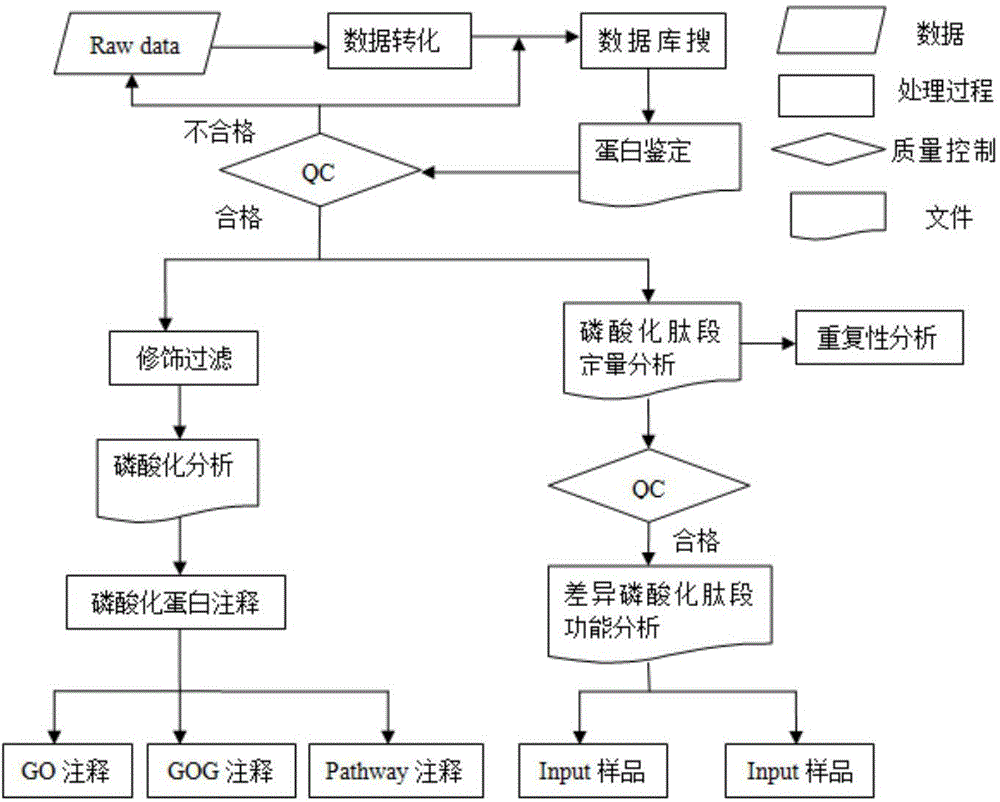 肝癌磷蛋白組學(xué)模型及其構(gòu)建方法和應(yīng)用與流程