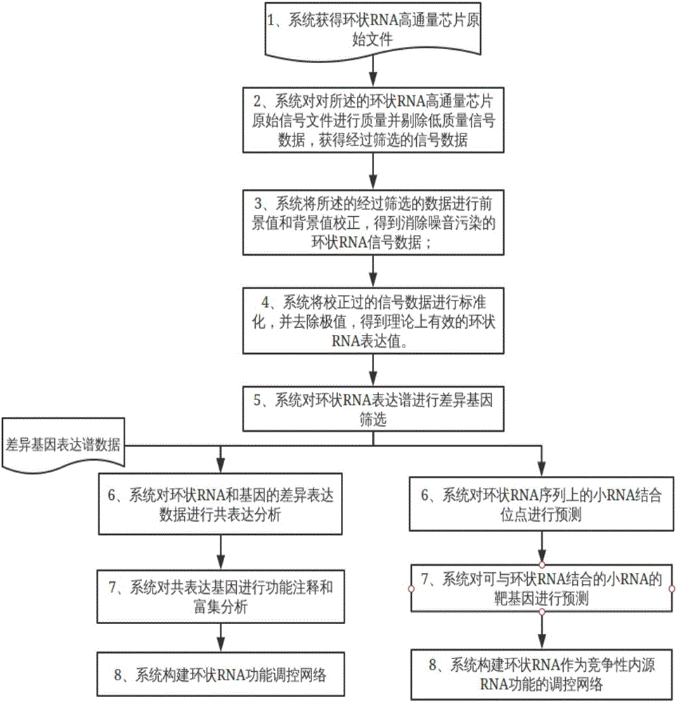 一种环状RNA的高通量芯片数据处理及分析流程控制方法与流程