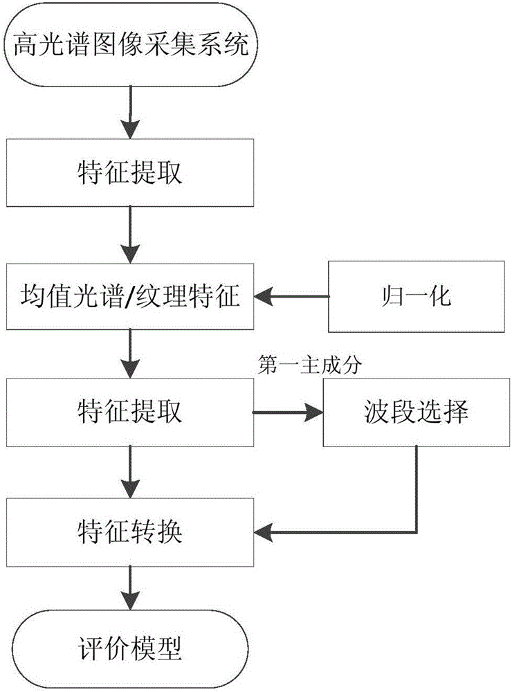 基于多线性判别分析的玉米种子高光谱图像多特征转换方法与流程