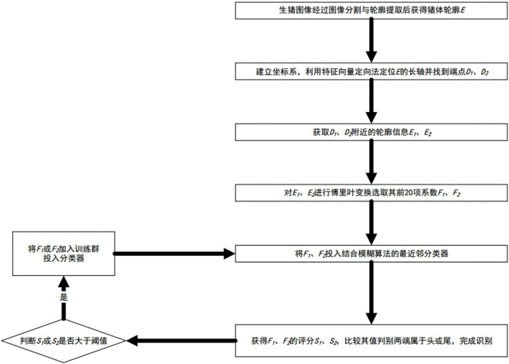 一种基于最近邻分类与模糊算法的猪头尾轮廓识别方法与流程