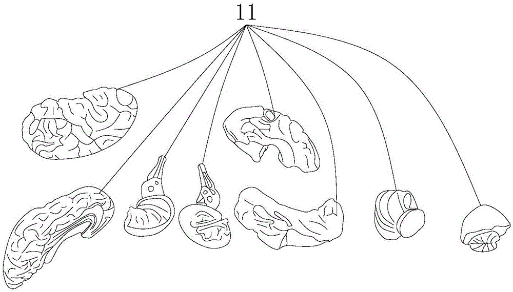 基于呼吸循環(huán)參數(shù)的液體循環(huán)動(dòng)力系統(tǒng)的制作方法與工藝