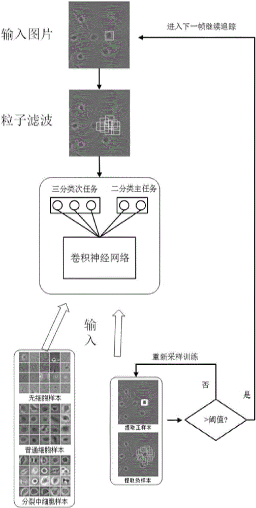 一種基于深度神經(jīng)網(wǎng)絡(luò)的細(xì)胞追蹤方法與流程