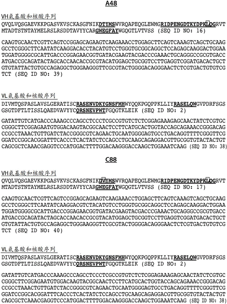 用于登革病毒的抗体分子及其应用的制作方法与工艺