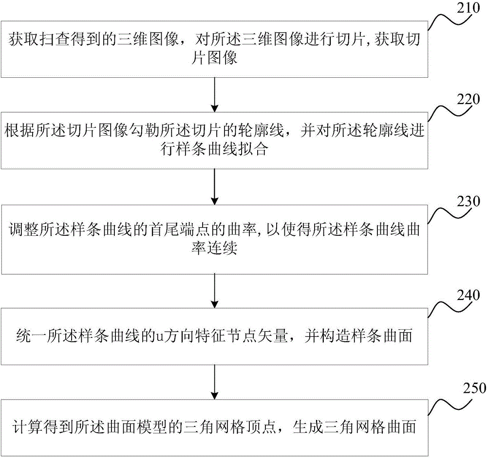 一种脏器三维模型构建方法及装置与流程