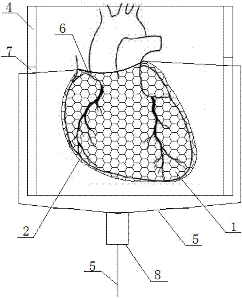 体外控制无金属心脏驱动模型的制作方法与工艺