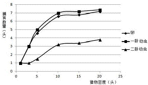 一種捕食螨對(duì)韭蛆捕食作用的研究方法與流程