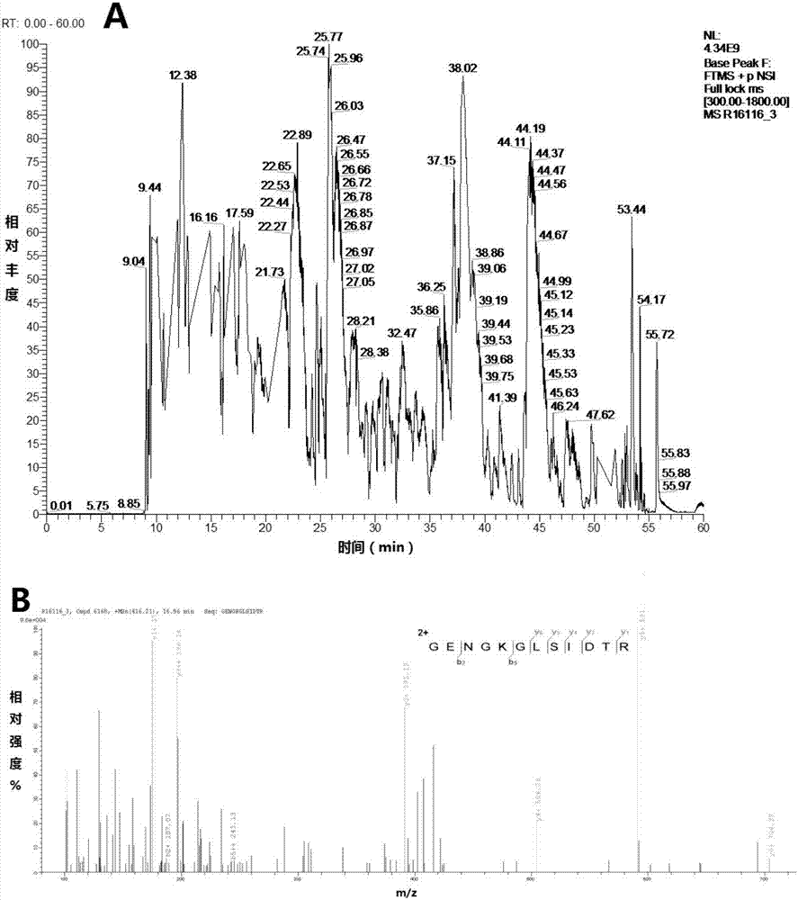 一种胃修复用贻贝来源生物粘合剂及其制备方法与流程