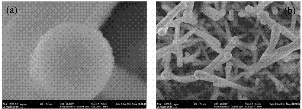 一种三维花片状硫铟锌微‑纳米线阵列及其制备方法和应用与流程