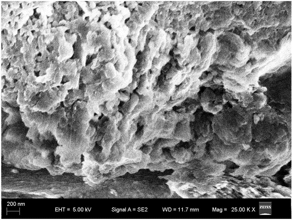 一种硅锌掺杂的石墨相氮化碳纳米材料及其在光催化还原中的应用的制作方法与工艺