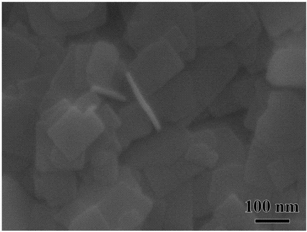一种二维TiO2超薄纳米片及其制备方法与流程