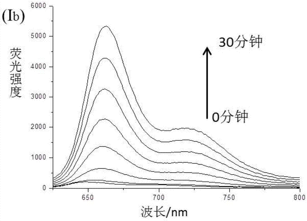 硫化氫熒光探針及其制備方法和應(yīng)用與流程