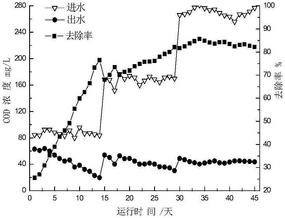 無(wú)泡曝氣生物反應(yīng)器同步硝化反硝化的污水處理裝置及處理方法與流程