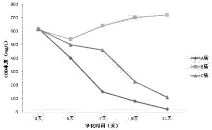 一種凈化富營養(yǎng)化水質(zhì)的環(huán)保酵素及其制備方法與流程