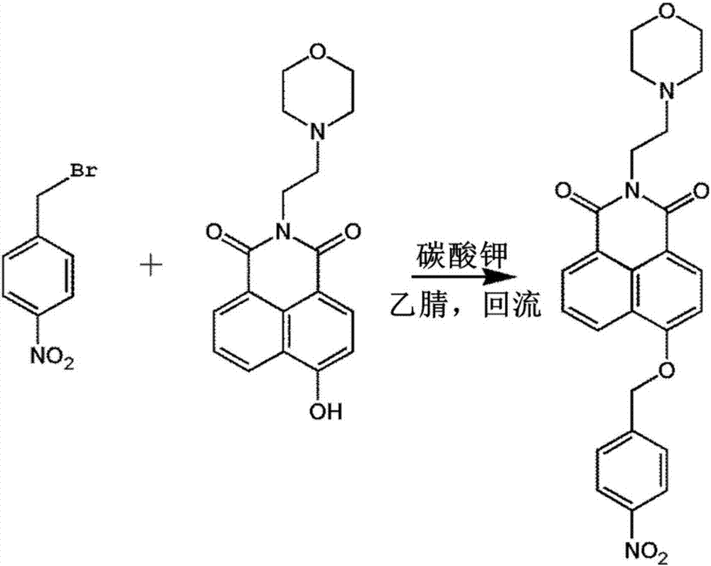 一種檢測(cè)硝基還原酶的熒光探針及其應(yīng)用的制作方法與工藝