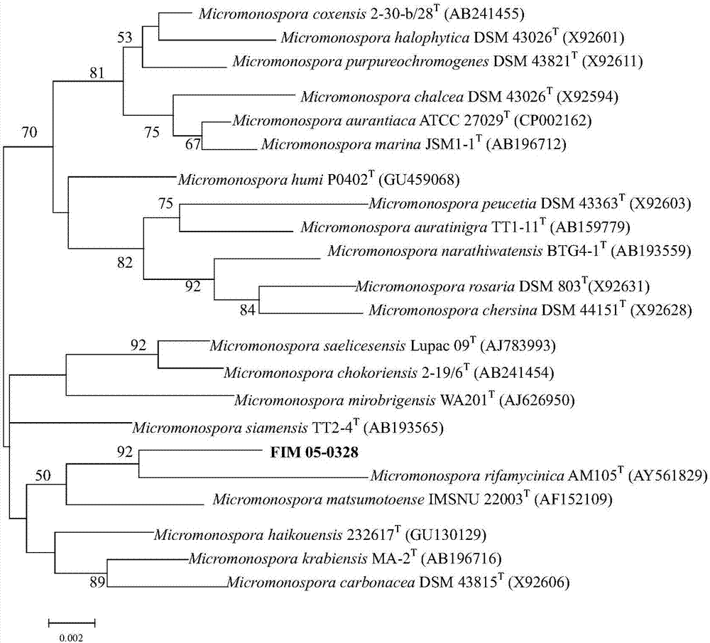 一種小單孢菌、其代謝產(chǎn)物大環(huán)內(nèi)酰胺化合物和在抗腫瘤中的應(yīng)用的制作方法與工藝