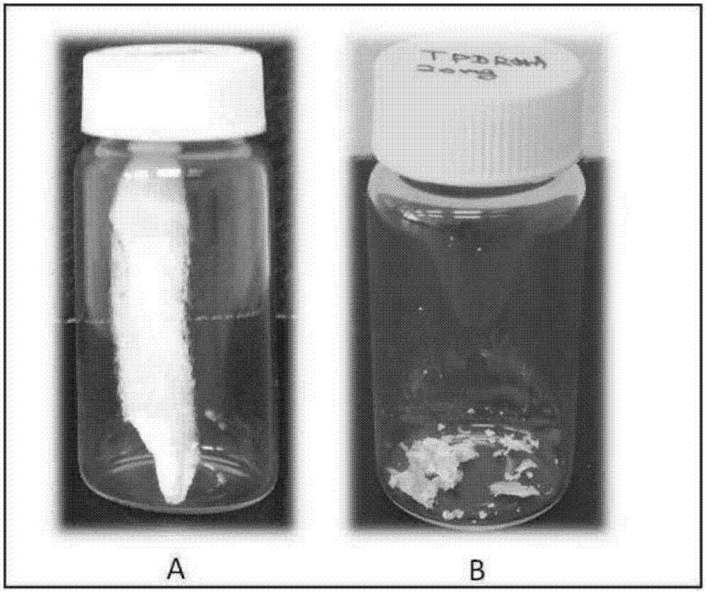 從魚(yú)類的精液分離多脫氧核糖核苷酸的方法、由所述方法獲得的多脫氧核糖核苷酸及其用途與流程