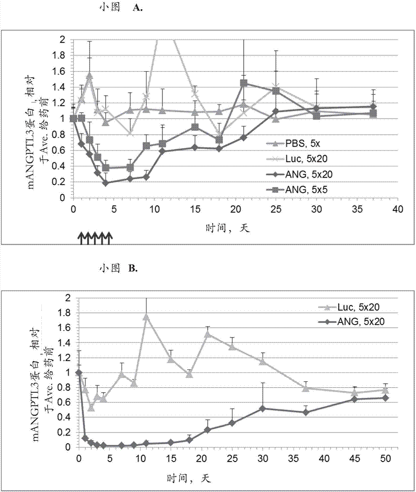 血管生成素样3（ANGPTL3）iRNA组合物及其使用方法与流程