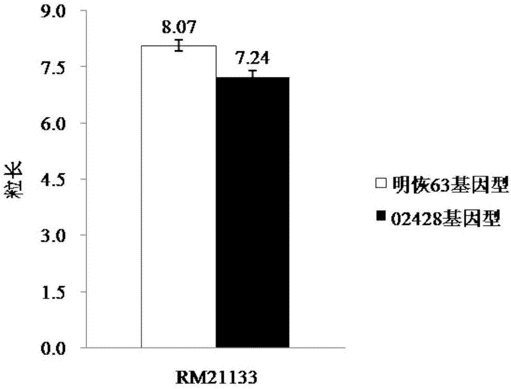 一种水稻外观品质基因qAQ7及其分子标记方法和应用与流程