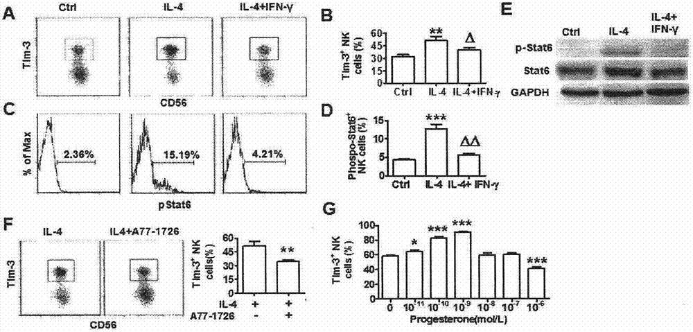 表達(dá)Tim-3的外周血NK細(xì)胞在制備自然流產(chǎn)生物標(biāo)記物中的用途的制作方法與工藝