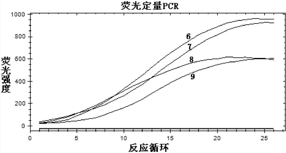 檢測基因片段缺失的試劑盒及其檢測方法與流程