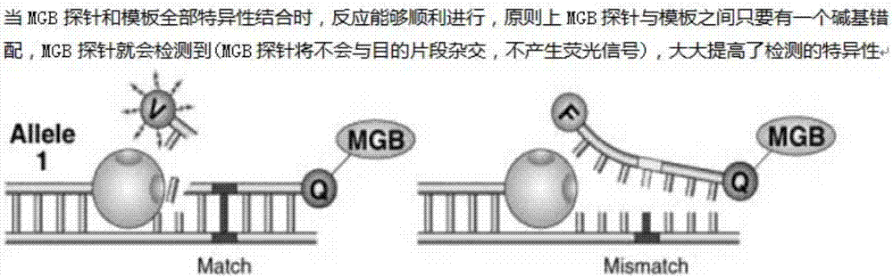 一種血篩三項多色單管檢測試劑盒的制作方法與工藝