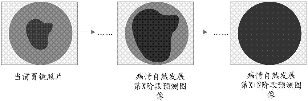 一种预测图像生成方法及装置与流程