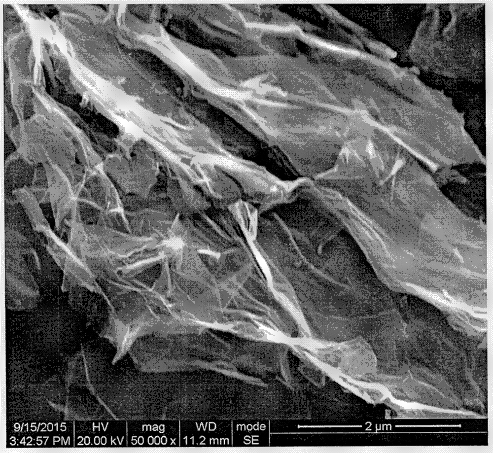 一種用于鋰硫電池體系的石墨烯電極結(jié)構(gòu)的制作方法與工藝