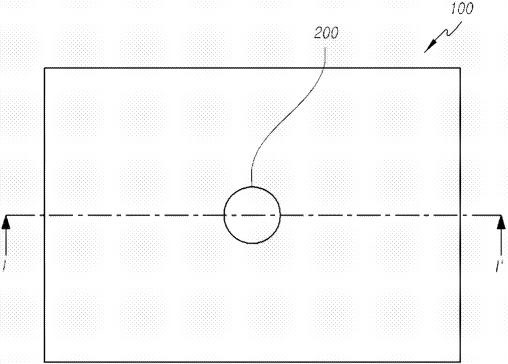 面板振动型发声激励器及包括其的双面显示装置的制作方法