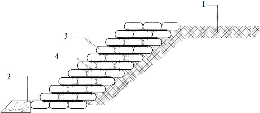 生態(tài)護(hù)坡用生態(tài)袋及由其構(gòu)成的單層生態(tài)袋生態(tài)護(hù)坡系統(tǒng)的制作方法與工藝