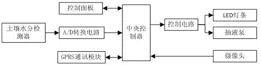 一種自動(dòng)施水補(bǔ)光園藝裝置的制作方法