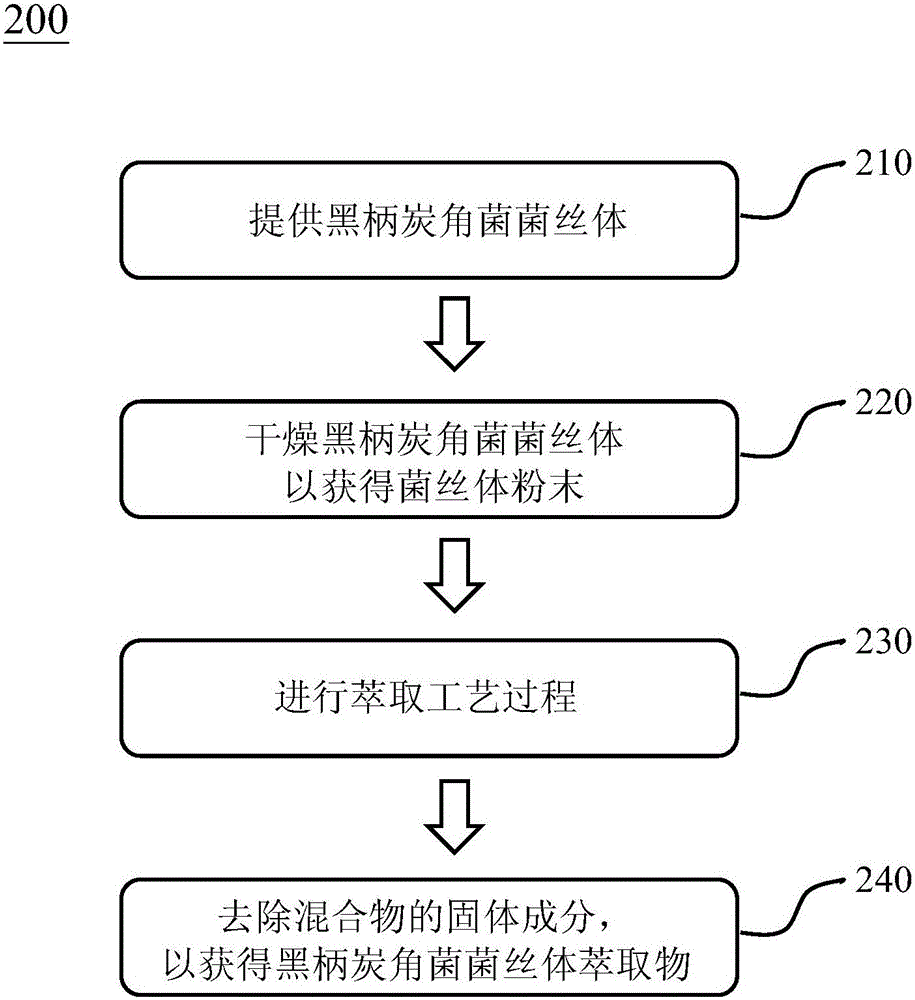 黑柄炭角菌菌丝体的制备方法、黑柄炭角菌菌丝体萃取物、其制备方法及其抗氧化组合物与流程