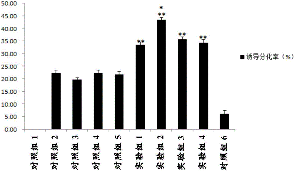 一种诱导人羊膜间充质干细胞向心肌样细胞分化的诱导液及方法与流程